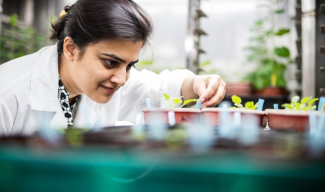 ‘Uluslararası Bilim Ortaklıkları Fonu’ndan yeni araştırma iş birlikleri için 80 bin Sterlin destek