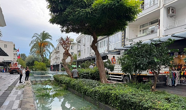 Kemer Liman Caddesi’nde kış öncesi bakım çalışması